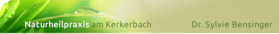 Logo Chiropraktik-Center