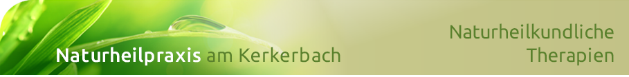 Logo Chiropraktik-Center
